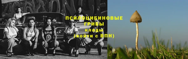 трава Вязьма