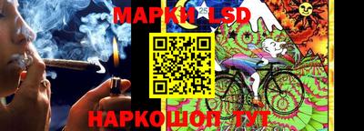 spice Волжск