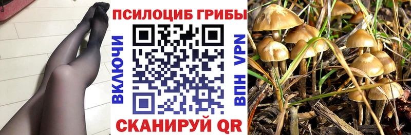 гидра вход  купить  сайты  Гуково  Псилоцибиновые грибы GOLDEN TEACHER 