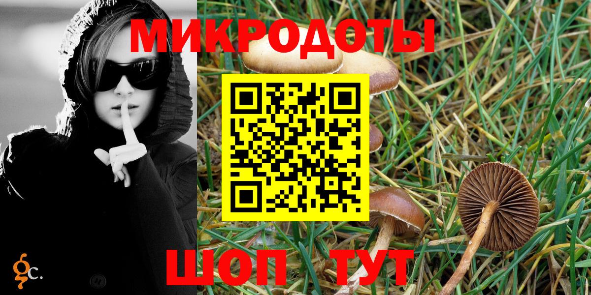 Псилоцибиновые грибы Psilocybine cubensis Гуково