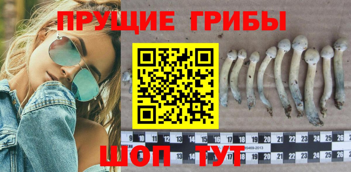 Псилоцибиновые грибы MAGIC MUSHROOMS  Вход с VPN  Гуково  Псилоцибиновые грибы Psilocybe 