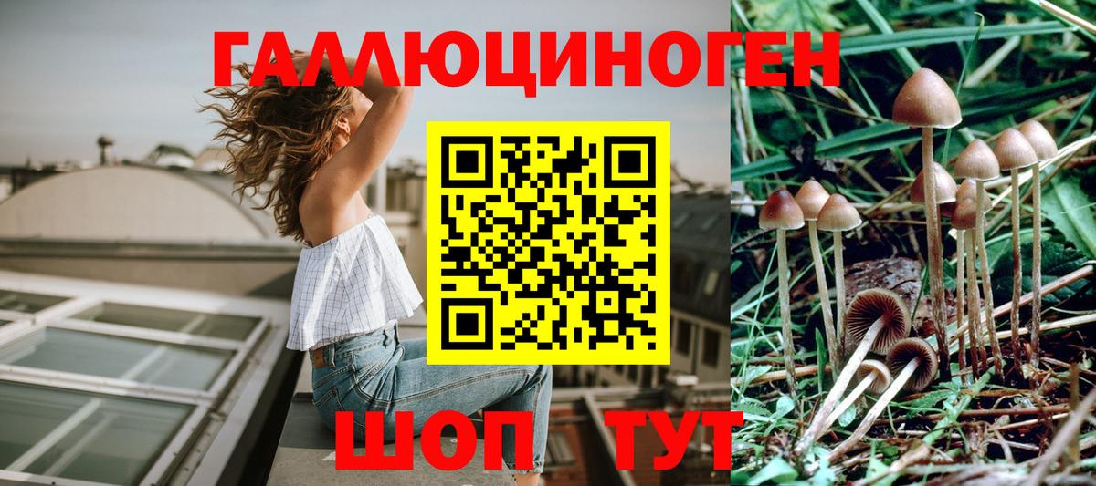 Галлюциногенные грибы мицелий Гуково