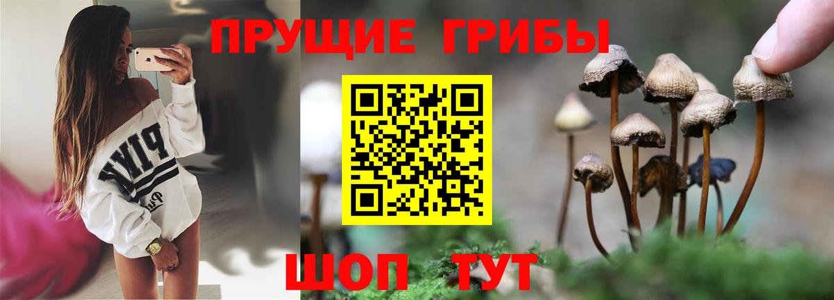 как найти закладки  Вход с VPN  Гуково  Галлюциногенные грибы MAGIC MUSHROOMS 